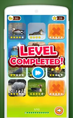 Scratch Game Animals Quiz android App screenshot 5